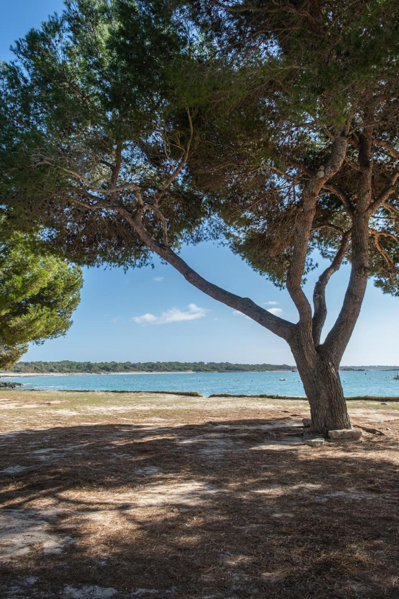 Alma Libre Beach Apartment Colonia de Sant Jordi Exteriér fotografie